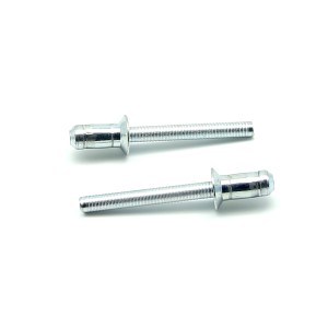 PLR061 D:4,8 L:19 Grip:11-13,5